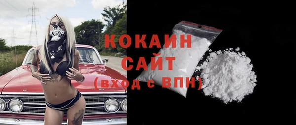 крисы Алзамай
