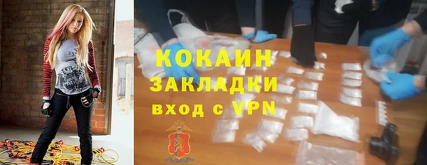 крисы Алзамай