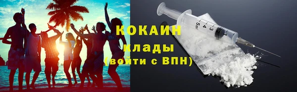 крисы Алзамай