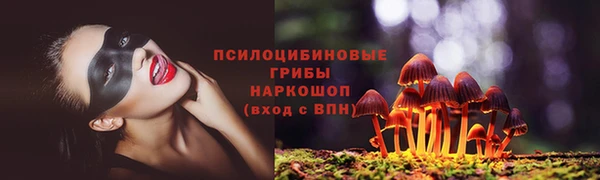 крисы Алзамай