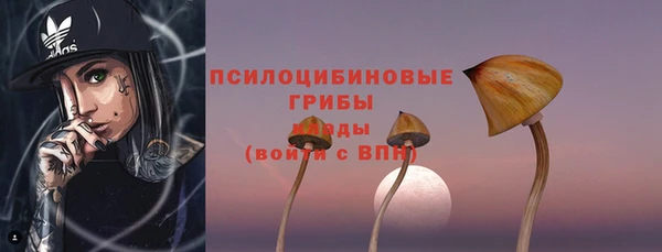 ешки Алексеевка