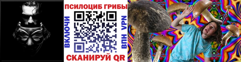 Галлюциногенные грибы GOLDEN TEACHER  Катав-Ивановск 