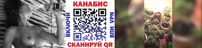 ссылка на мегу где купить наркоту Катав-Ивановск Бошки Шишки Ganja